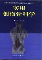 实用创伤骨科学 骨折与脱位及其治疗