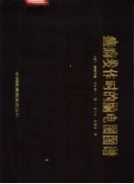癫痫发作时的脑电图图谱