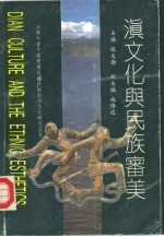 滇文化与民族审美