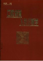 口腔颌面X线诊断学