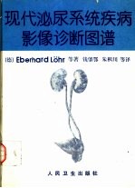 现代泌尿系统疾病影像诊断图谱