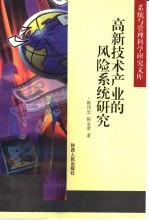 高新技术产业的风险系统研究