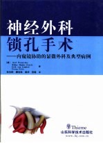 神经外科锁孔手术 内窥镜协助的显微外科及典型病例