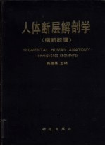 人体断层解剖学 横断断层
