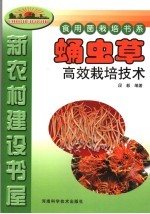 蛹虫草高效栽培技术