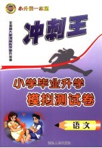 冲刺王 测试卷.总复习卷 语文