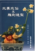 水养水仙及雕刻造型