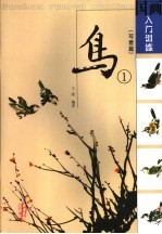 鸟 写意篇