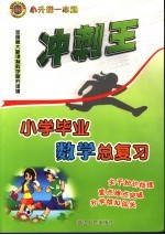 小学毕业数学总复习