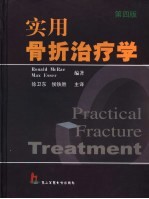 实用骨折治疗学