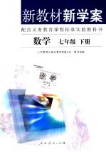 新教材新学案 数学 七年级下