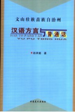 文山壮族苗族自治州汉语方言与普通话