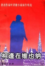 相逢在维也纳