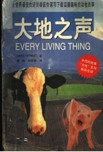 大地之声