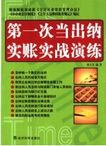 第一次当出纳实账实战演练