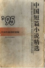 中国短篇小说精选 1995
