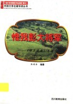惟我彭大将军 《保卫延安》导读