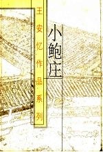 小鲍庄 第2版
