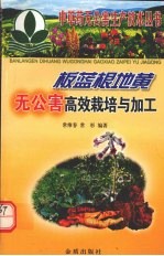 板蓝根地黄无公害高效栽培与加工