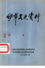 伊犁文史资料 第1辑