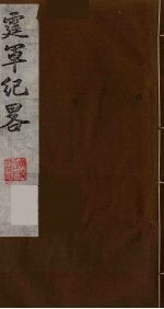 霆军纪略 7