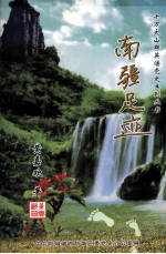 十万大山群英谱党史系列丛书 南疆足迹