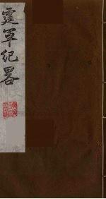 霆军纪略 1