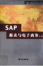 SAP报表与电子商务智能