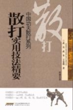 散打实用技法精要