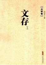 许宗元文存 上 文学卷