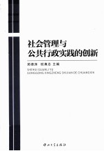 社会管理与公共行政实践的创新