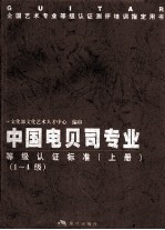中国电贝司专业等级认证标准 上