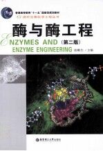 酶与酶工程 第2版