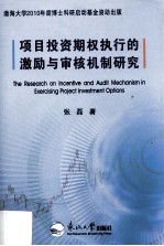 项目投资期权执行的激励与审核机制研究