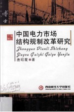中国电力市场结构规制改革研究