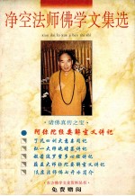 净空法师佛学文集选 阿弥陀经要解玄义讲记