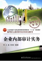 企业内部审计实务