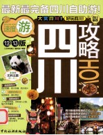 全球攻略 四川攻略 12、13版