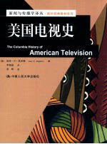 美国电视史