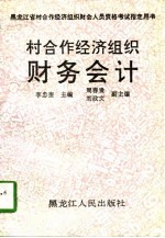 村合作经济组织财务会计