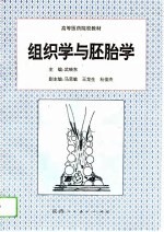 组织学与胚胎学