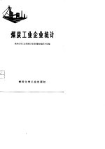 煤炭工业企业统计 试用教材