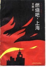 燃烧吧,上海