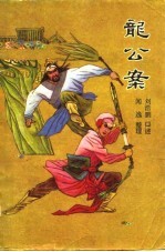 龙公案 下