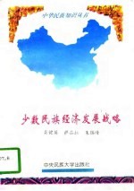 少数民族经济发展战略