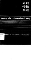 光纤传输系统