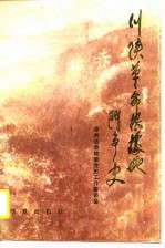 川陕革命根据地斗争史