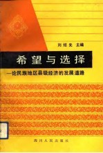 希望与选择 论民族地区县级经济的发展道路