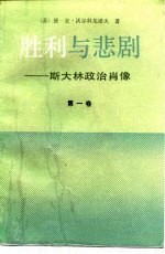 胜利与悲剧 斯大林政治肖像 第1卷