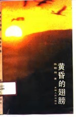 黄昏的翅膀